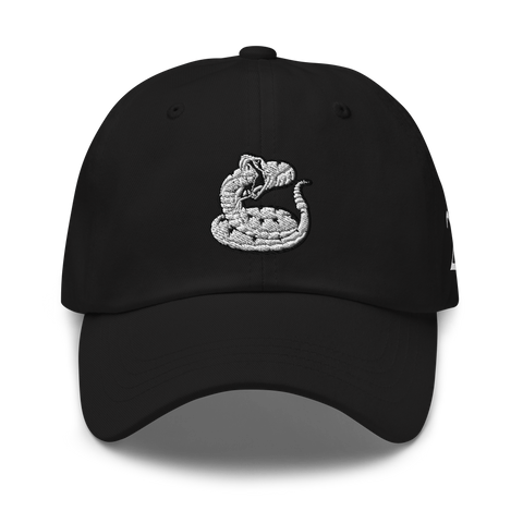 2AR Snake Logo Dad Hat