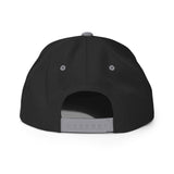 2AR Snake Logo Hat