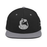 2AR Snake Logo Hat