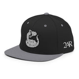 2AR Snake Logo Hat