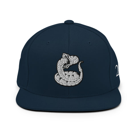 2AR Snake Logo Hat